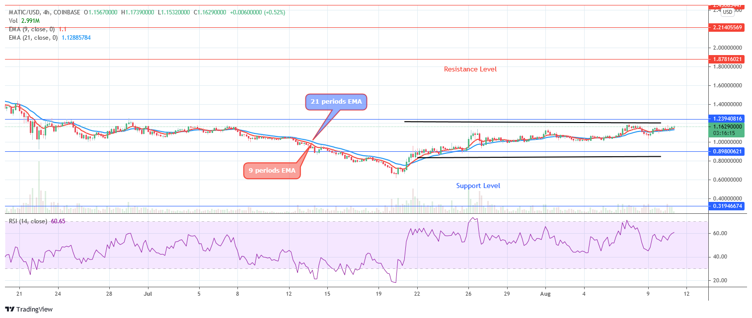 Polygon (MATIC/USD) Price May Break Out at $1.23 Level