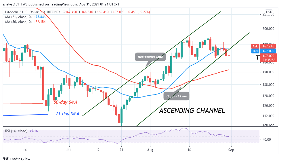 Litecoin (LTC) Breaks Crucial Support at $167.59, Eyes the $152 Low