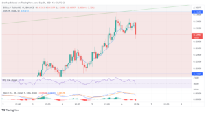 Zilliqa Price Prediction September 2021: ZIL Correction Needed To Continue The Trend