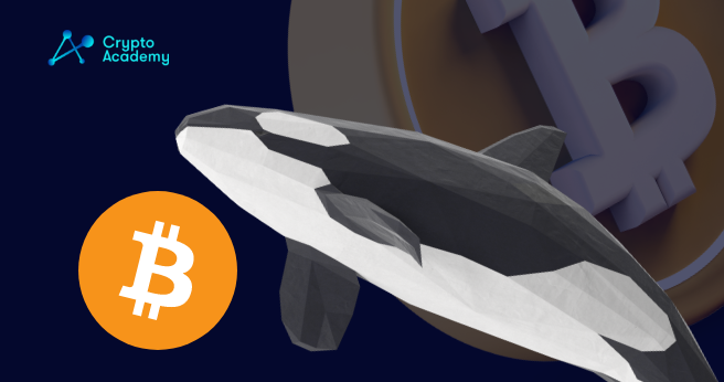 2010 Whale Transfers 1,000 Ten-Year-Old Bitcoins Worth $35 Million