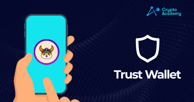 How to Add Floki Inu to the Trust Wallet?