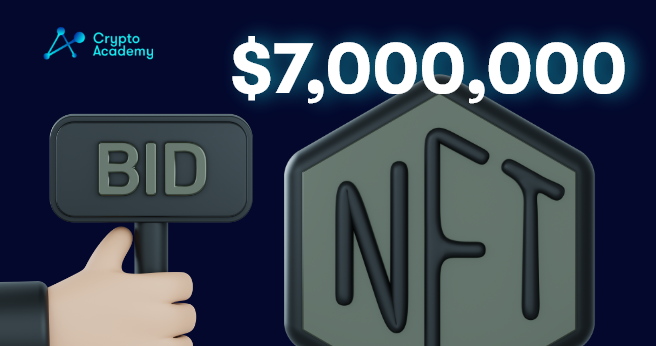 Investors Spend $7 Million for Yet To Be Minted NFT Collection