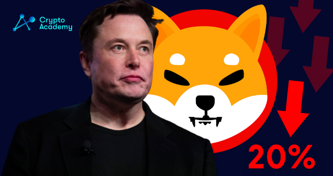 SHIBA INU Drops 20% in Price as Elon Musk Confirms He Owns None