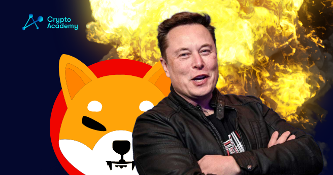 Buying pressure from whales aside from Elon Musk are driving SHIB price to increse