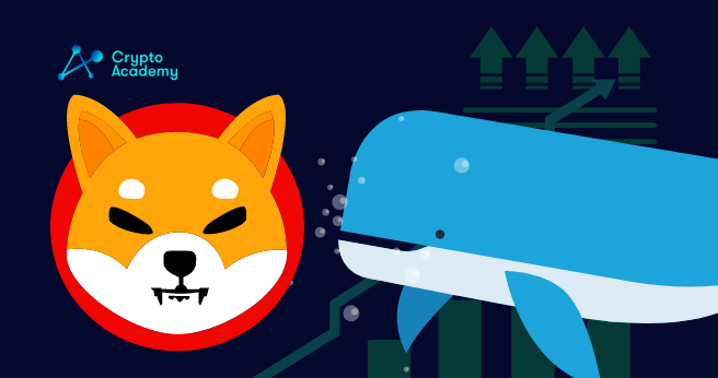 Anonymous whale buys Over 6 Trillion Shiba Inu Tokens in Just 2 Days