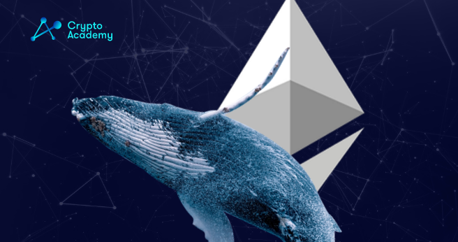 Whale Accumulation Pushes Ethereum to New All-Time High