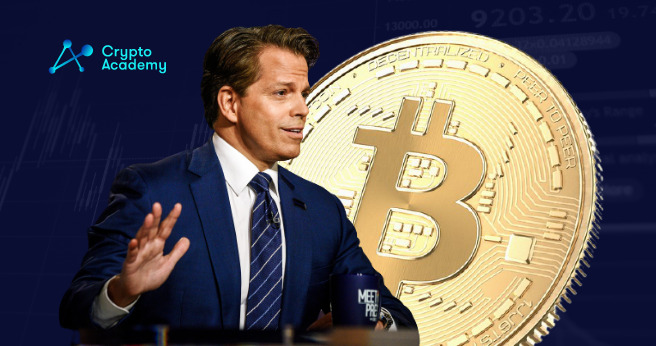 Anyone That Gets Educated on Bitcoin Soon Starts Investing Into It, Says Scaramucci