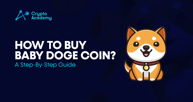 How to buy Baby Dogecoin? - A Step-By-Step Guide