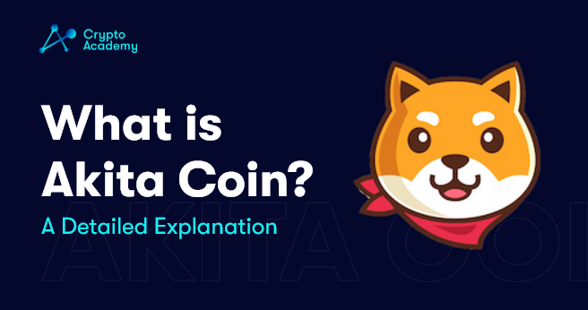 What is Akita Coin? – A Detailed Explanation