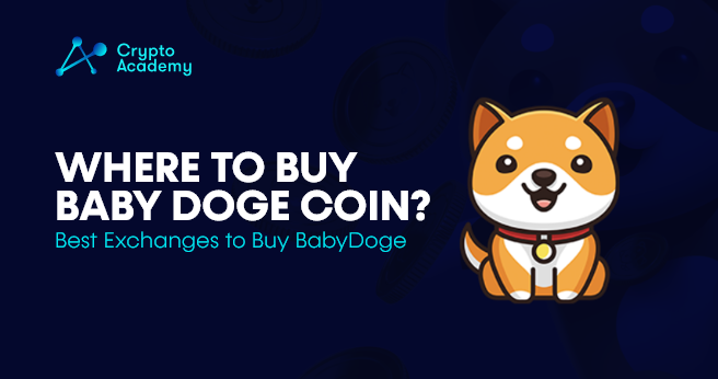 Where to buy Baby Dogecoin? - Best Exchanges to Buy BabyDoge.