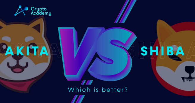 Which One is Better, Akita or Shiba Coin? – A Review for Two of the Most Eminent Memecoins