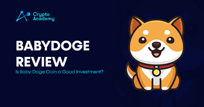 BabyDoge Review - Is Baby Doge Coin a Good Investment?