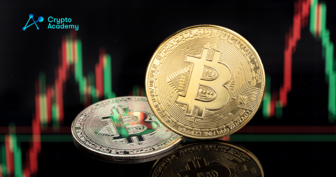 BTC held strong at $50,000 as it entered December 8, indicating that the bull market trends are not simply remnants of what used to be. 