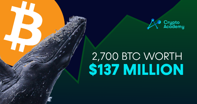The third biggest Bitcoin (BTC) whale has rushed to acquire Bitcoin (BTC) as the rebound from the crash has begun.