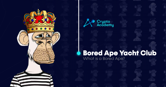 Bored Ape Yacht Club – What is a Bored Ape?