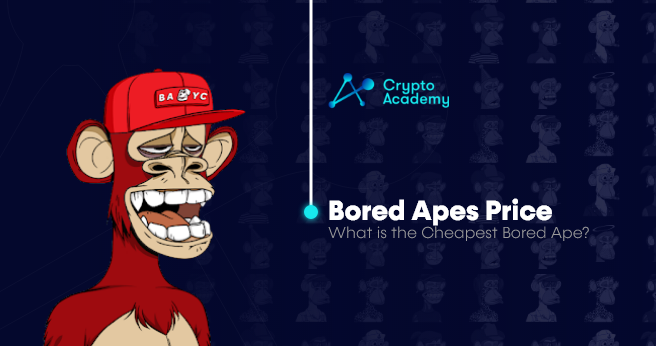 Bored Apes Price - What is the Cheapest Bored Ape?