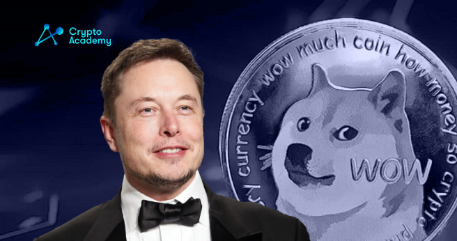 Elon Musk Reveals 