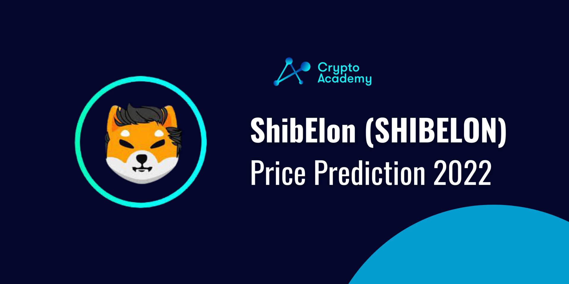 ShibElon (SHIBELON) Price Prediction 2022 and Beyond - Can SHIBELON Eventually hit $1? 