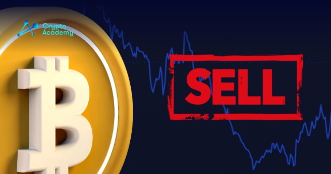 These BTC HODLers are Resisting Selling Pressure in Recovering Crypto Market