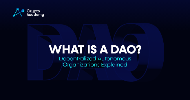 What are Decentralized Autonomous Organizations?