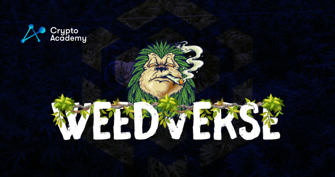 Introducing WeedVerse - The First Cannabis Metaverse in BSC
