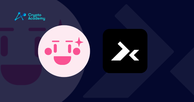 PinkSale vs. DxSale - Which is the Better Launchpad Protocol?