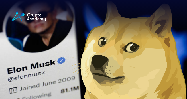 Dogecoin Whales Get Active As Elon Musk Buys Twitter
