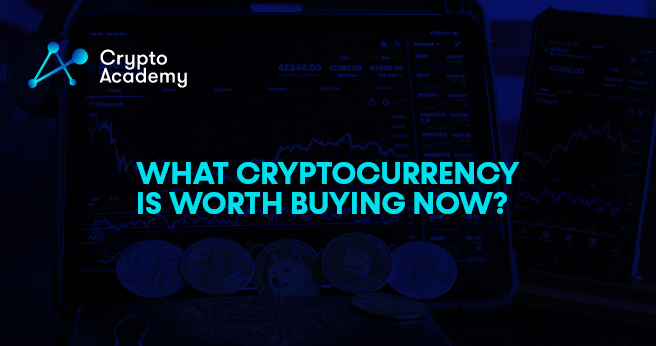 What Cryptocurrency is Worth Buying Now? - Polkadot (DOT), Dogecoin (DOGE) & Shiba Inu (SHIB) Reviews 2022