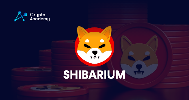 Shibarium Nears Launch As Hype Around Shiba Inu Rises
