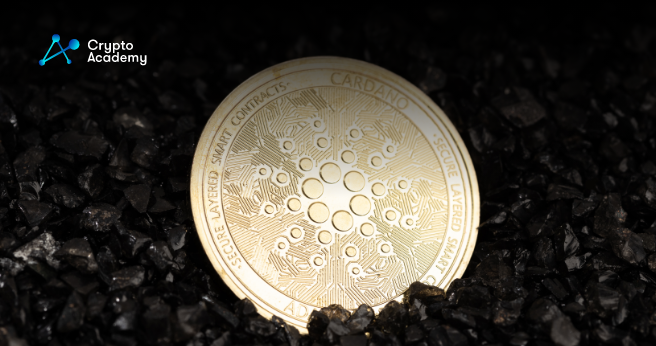 Cardano (ADA) Leads the Cryptocurrency Industry as the Most Actively Developed Project