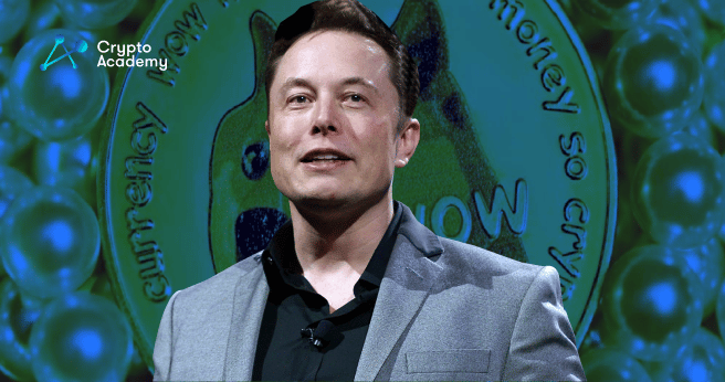 Elon’s Tweet Gains Dogecoin an 8% Rise