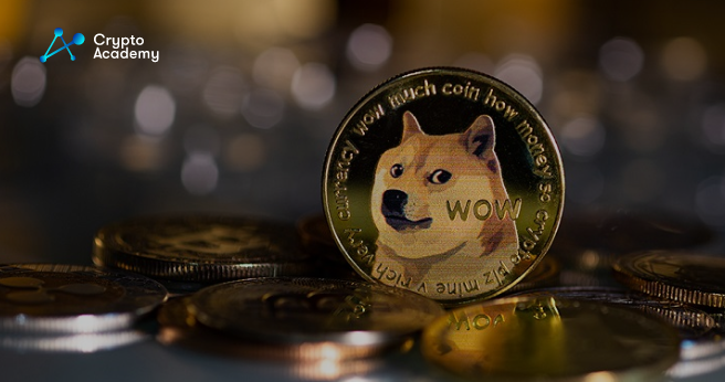 DOGE rally puts most hodlers in profit
