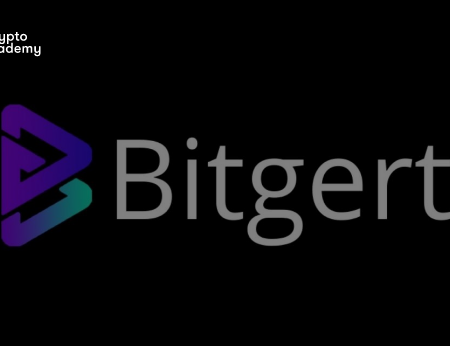 Bitgert Review – Should You Use the Bitgert Exchange