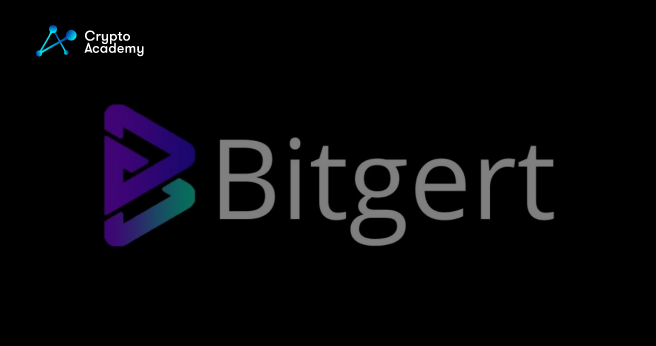 Bitgert Review Including its Exchange, Wallet, and Brise Chain