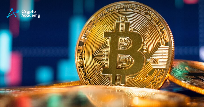 Bitcoin (BTC) Could Bottom at Around $6,000 Before Reversing the Trend