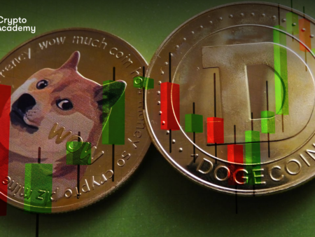 Dogecoin Price Could Go Higher at the end of 2022