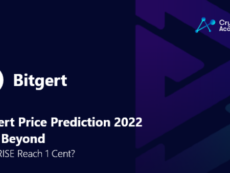 Bitgert Price Prediction 2022 And Beyond – Will BRISE Reach 1 Cent? 