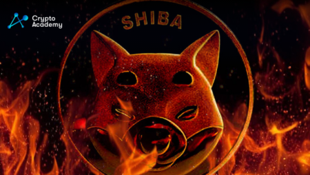 SHIB Army Reacts To Drop In Burn Rate