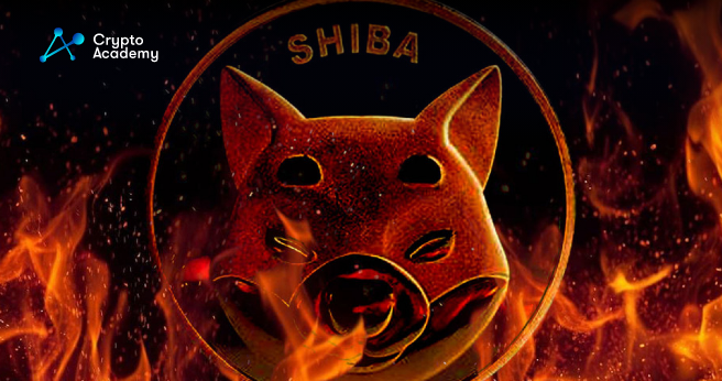 SHIB Army Reacts To Drop In Burn Rate