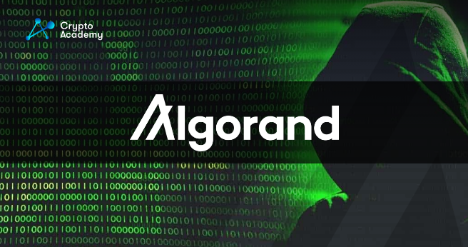 Algorand Wallet Urges Users To Withdraw Funds After $9.6M Exploit