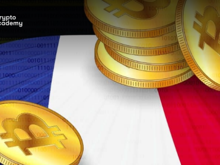 No More Crypto Influencers in France