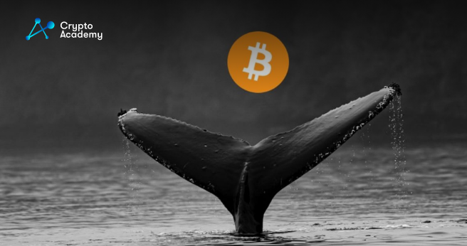 Dormant BTC Whale Sends $60 Million For the First Time in 9 Years