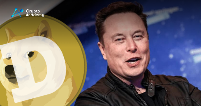 Elon Musk Issues Warning for Dogecoin Investors