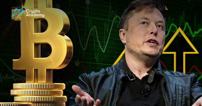 Standard Chartered Makes Bold Bitcoin Prediction as Elon Musk Adheres to Bitcoin’s Fundamentals 