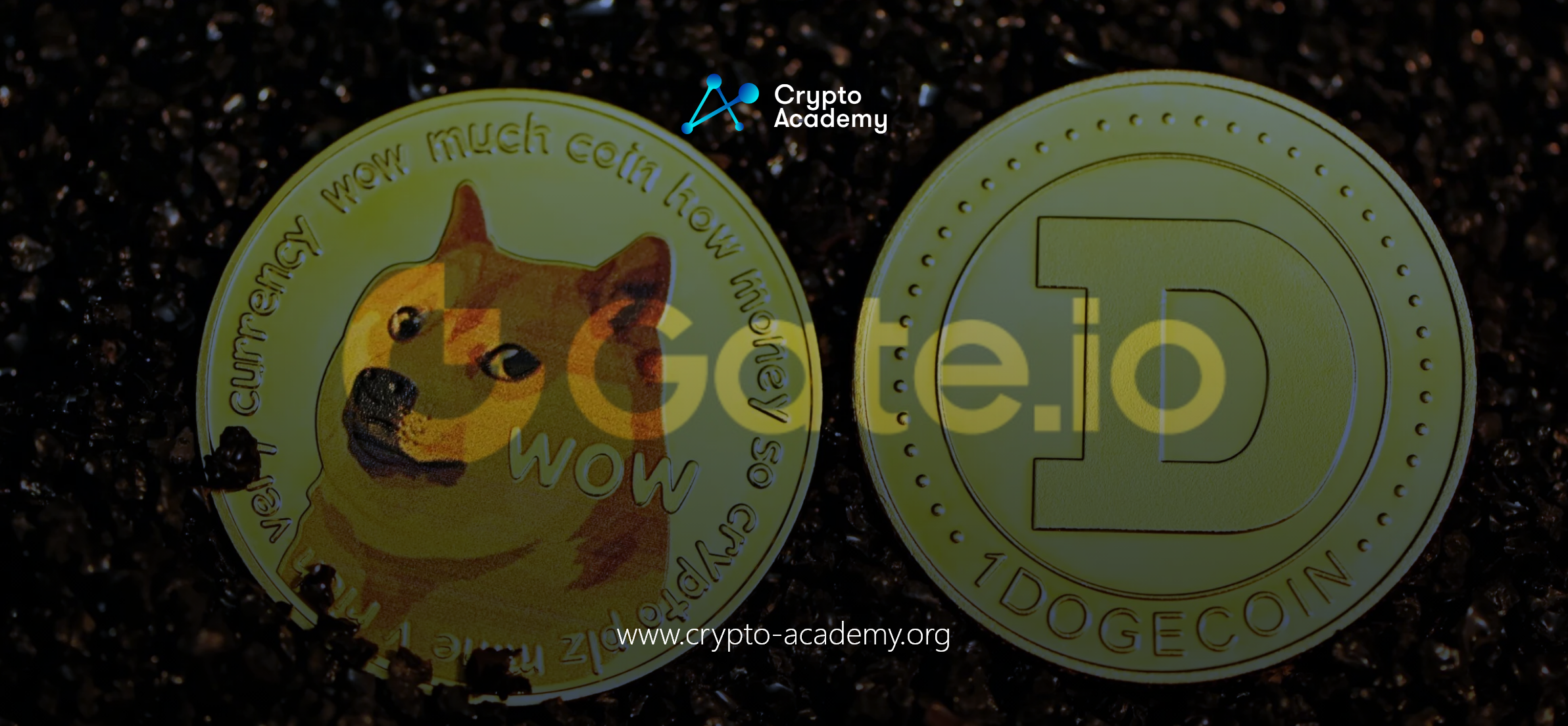 Surge in Dogecoin Value Amid Rumors of Twitter Payment Integration