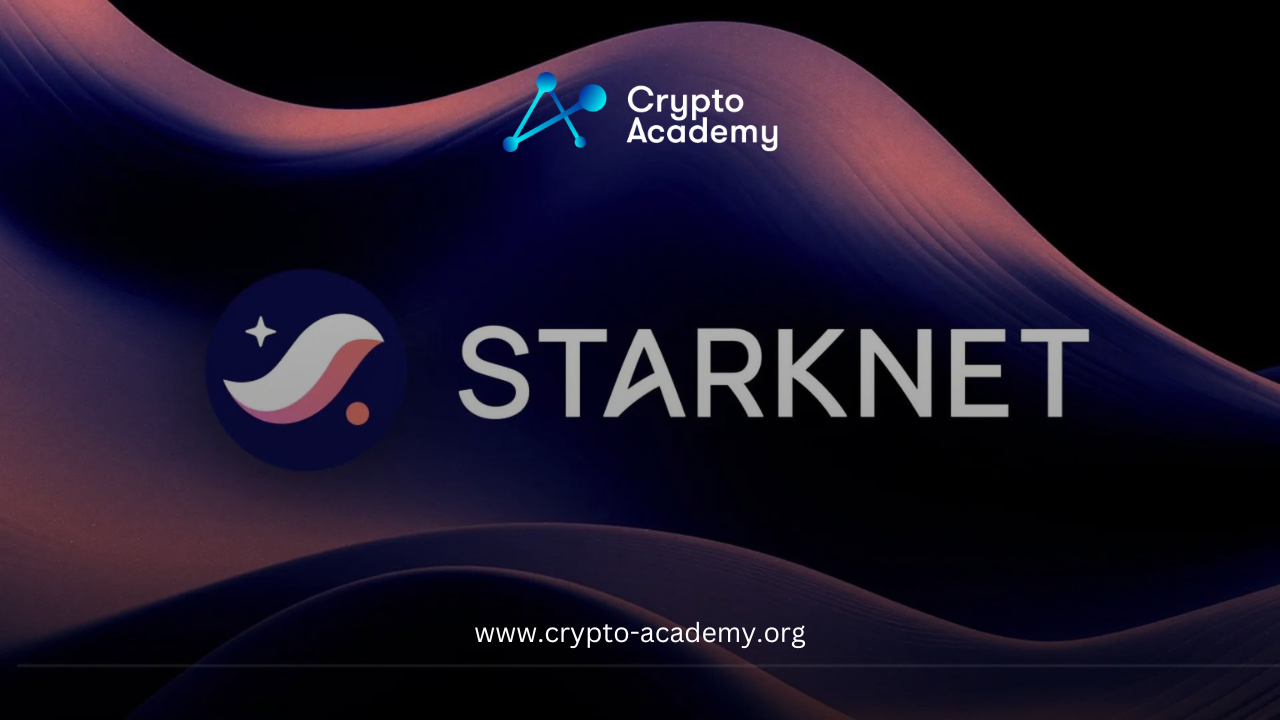 Starknet Airdrop Successful, But Controversial