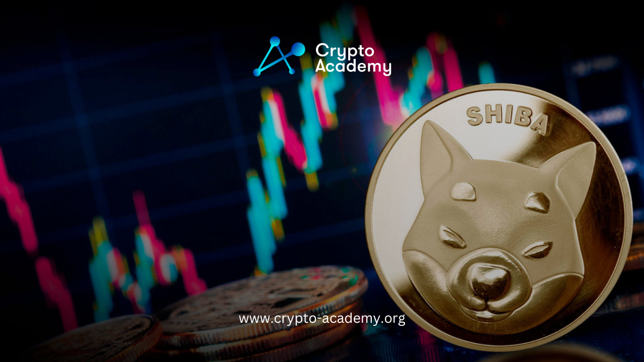 Shiba Inu Joins Top 10 Cryptos as Whale Activity Surges